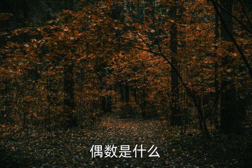 偶數是什么