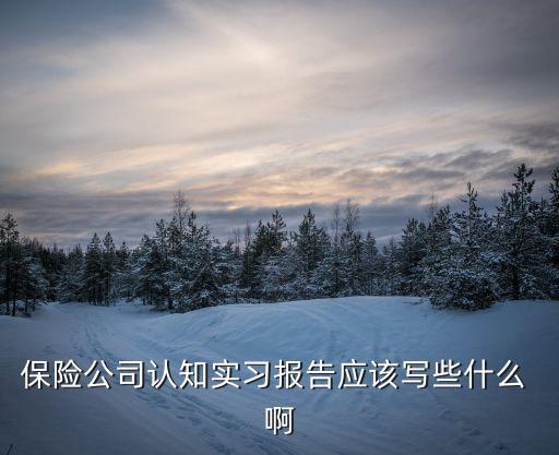 保險公司認知實習報告應該寫些什么 啊