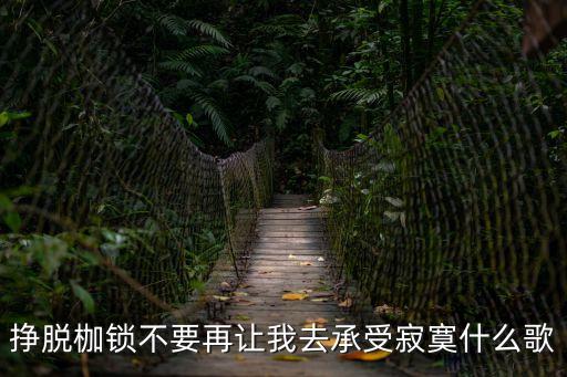 掙脫枷鎖不要再讓我去承受寂寞什么歌