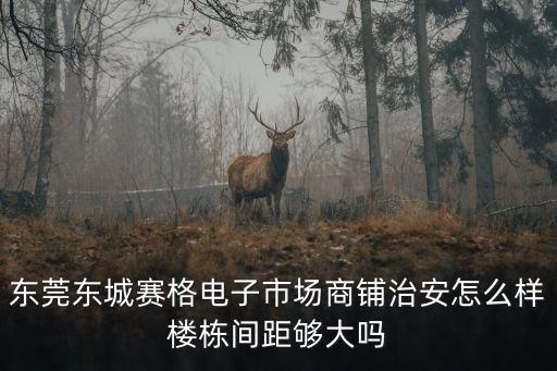 東莞東城賽格電子市場(chǎng)商鋪治安怎么樣樓棟間距夠大嗎