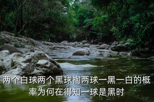 俄式臺球，現代臺球分哪兩類