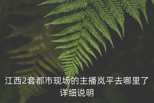 江西2套都市現場的主播嵐平去哪里了詳細說明