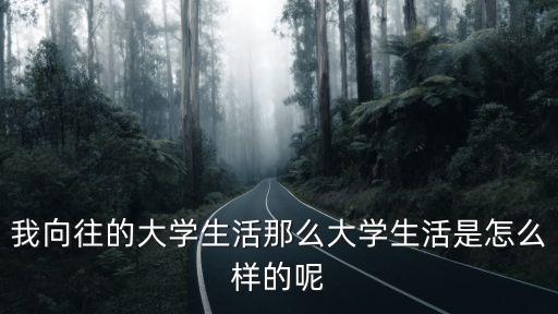 我向往的生活，半命題作文 我向往 可以寫什么啊