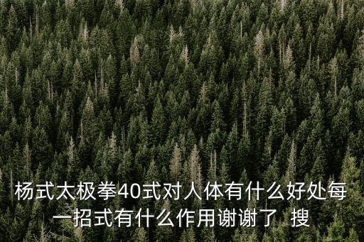 四十式太極拳，楊式太極拳40式對人體有什么好處每一招式有什么作用謝謝了  搜