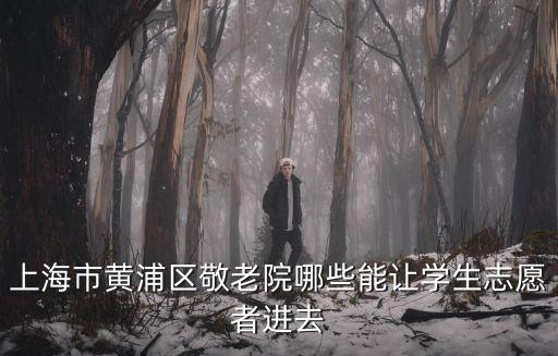上海市敬老院志愿者，上海有哪些地方可以做義工的