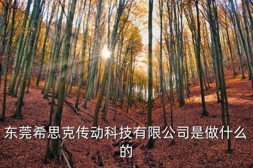 東莞希思克傳動科技有限公司是做什么的