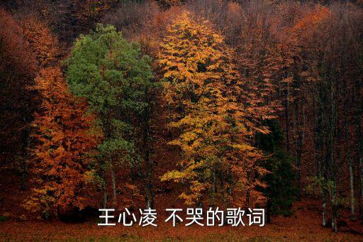 不哭歌詞，誰知道血未冷片頭曲不哭歌詞