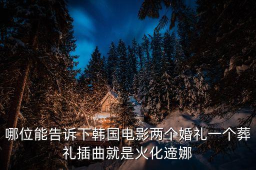 哪位能告訴下韓國電影兩個婚禮一個葬禮插曲就是火化遆娜