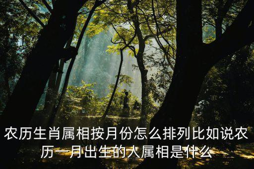 月份對應的生肖，一到十二月份是怎么排列十二生肖