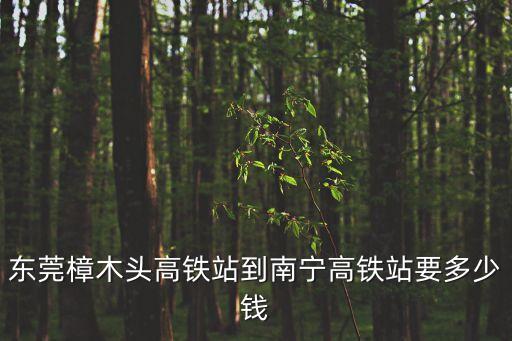 東莞樟木頭高鐵站到南寧高鐵站要多少錢
