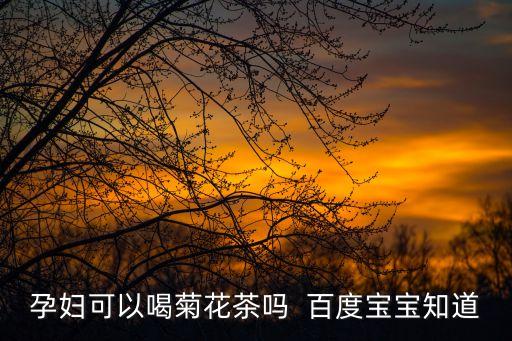 孕婦可以喝菊花茶嗎  百度寶寶知道