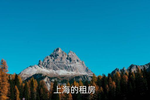 上海的租房
