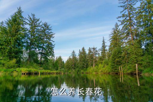 長春花的養殖方法和注意事項，怎么養長春花