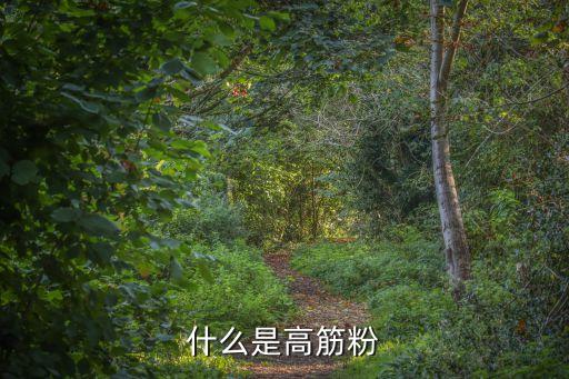 什么是高筋粉