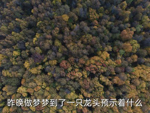 夢見龍頭，昨晚做夢夢到了一只龍頭預示著什么