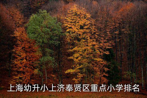 上海幼升小上濟(jì)奉賢區(qū)重點(diǎn)小學(xué)排名