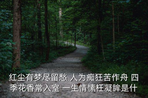 紅塵有夢盡留愁 人為癡狂苦作舟 四季花香常入室 一生情愫枉凝眸是什