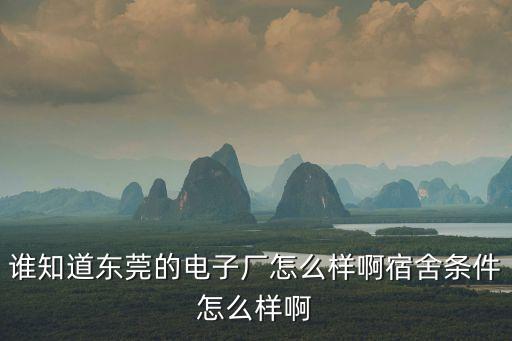 誰知道東莞的電子廠怎么樣啊宿舍條件怎么樣啊