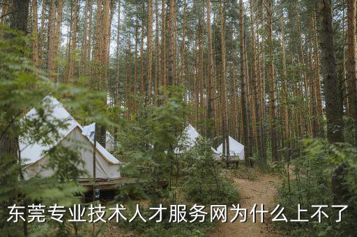 東莞專業(yè)技術(shù)人才服務(wù)網(wǎng)為什么上不了