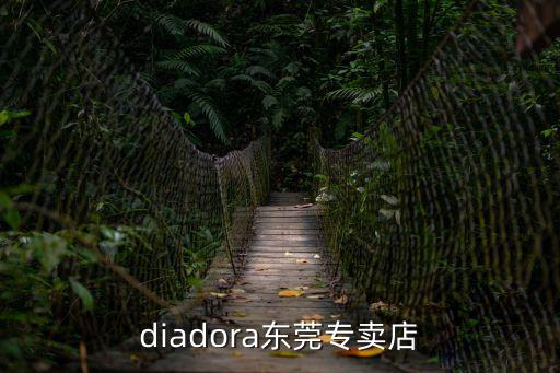 diadora東莞專賣店