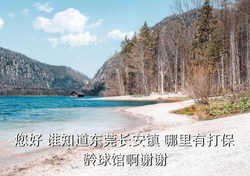 您好 誰知道東莞長安鎮(zhèn) 哪里有打保齡球館啊謝謝