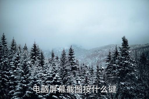 電腦截圖快捷鍵是什么，電腦截圖的快捷鍵