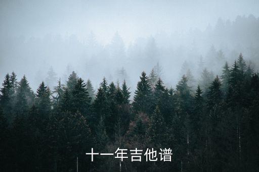 十一年吉他譜