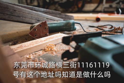 東莞市環(huán)城路橫三街11161119號有這個地址嗎知道是做什么嗎