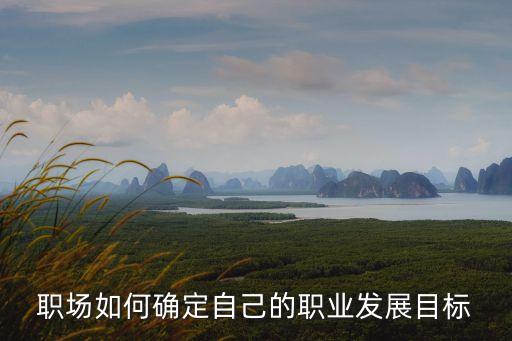 職業(yè)目標(biāo)的確定，怎樣才能確定一個適合自己的職業(yè)目標(biāo)啊