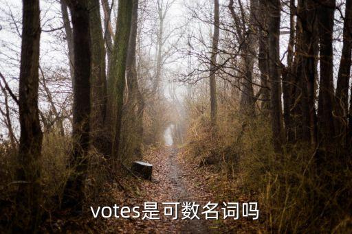 votes是可數名詞嗎