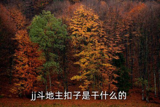 性比賽，jj斗地主扣子是干什么的