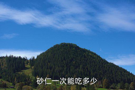 砂仁一次能吃多少