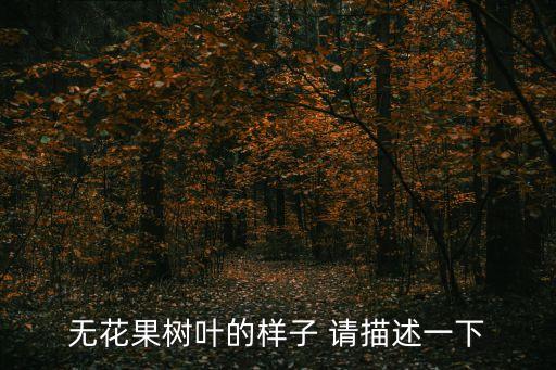 無花果樹葉的樣子 請描述一下