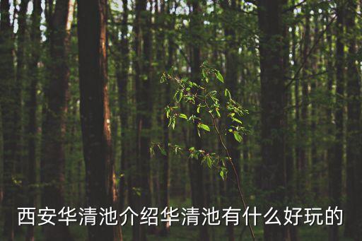 西安華清池介紹華清池有什么好玩的