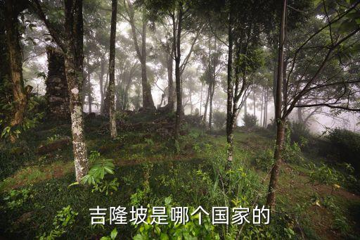 吉隆坡英語，Salak south selatan 是什么意思啊馬來語