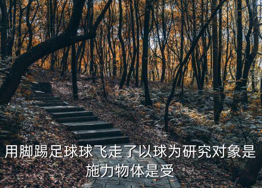 用腳踢足球球飛走了以球為研究對象是施力物體是受