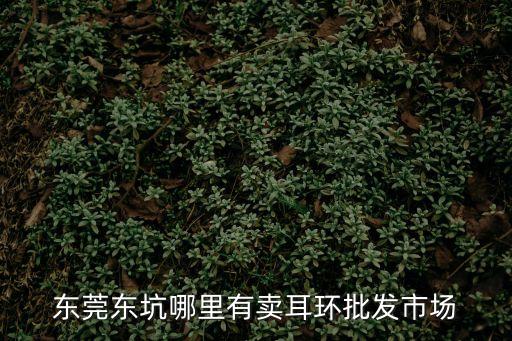 東莞左耳環在哪，東莞清溪哪里有打耳釘的