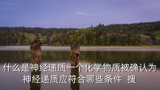 什么是神經(jīng)遞質(zhì)一個化學(xué)物質(zhì)被確認(rèn)為神經(jīng)遞質(zhì)應(yīng)符合哪些條件  搜