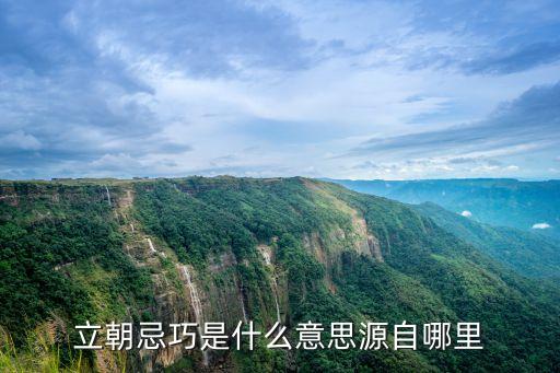 立朝忌巧是什么意思源自哪里