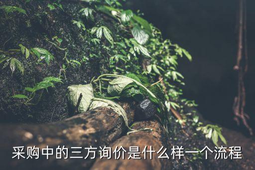 采購詢價流程，采購中的三方詢價是什么樣一個流程