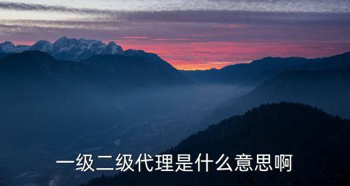 一級二級代理是什么意思啊