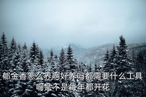郁金香好養活嗎，郁金香好養嗎