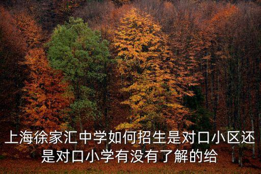 上海徐家匯中學如何招生是對口小區(qū)還是對口小學有沒有了解的給