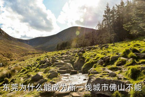 東莞為什么能成為新一線城市佛山不能