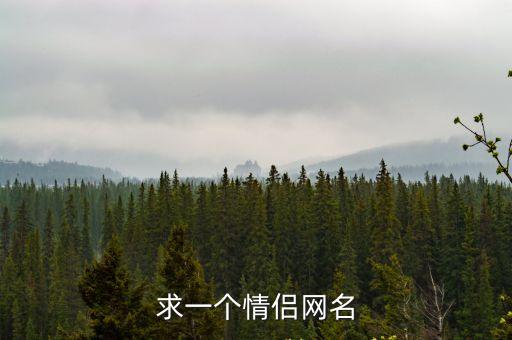 網絡情侶名，求網絡情侶名字