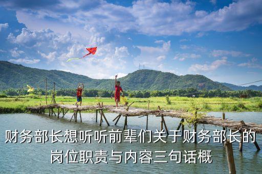 財務部長崗位職責，公司設立了財務總監(jiān)財務部長主辦會計出納那這四人的職責是什