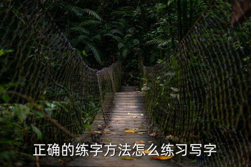 書法練習指導，如何練習好書法