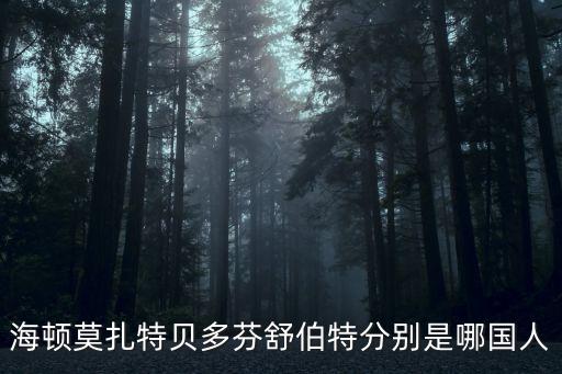 海頓是哪國人，海頓莫扎特貝多芬舒伯特分別是哪國人