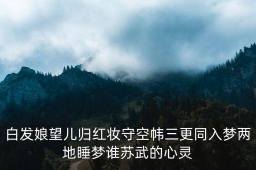 白發娘望兒歸紅妝守空幃三更同入夢兩地睡夢誰蘇武的心靈