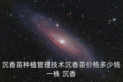 沉香苗種植管理技術沉香苗價格多少錢一株 沉香